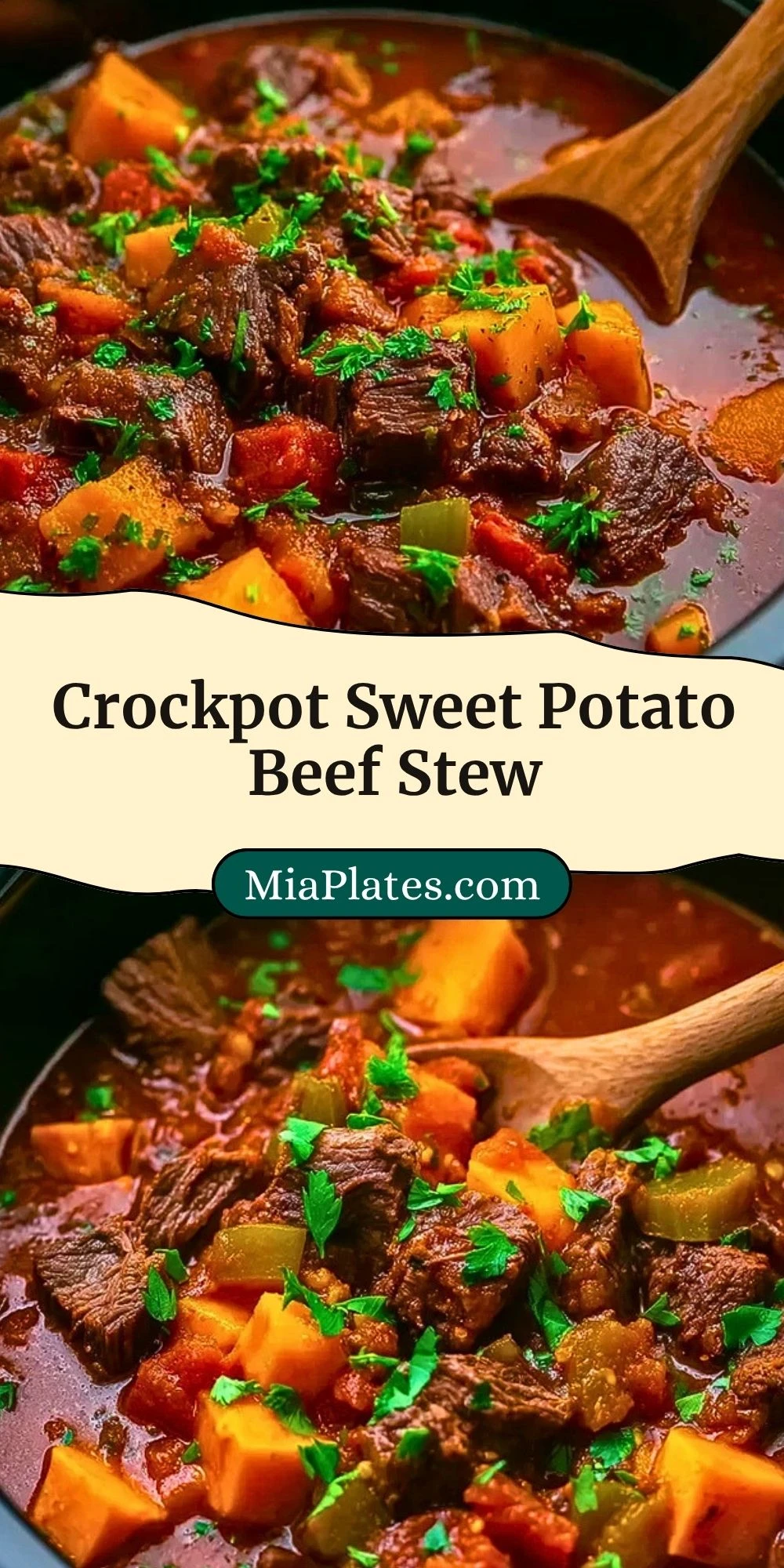 Crockpot Sweet Potato Beef Stew (3)