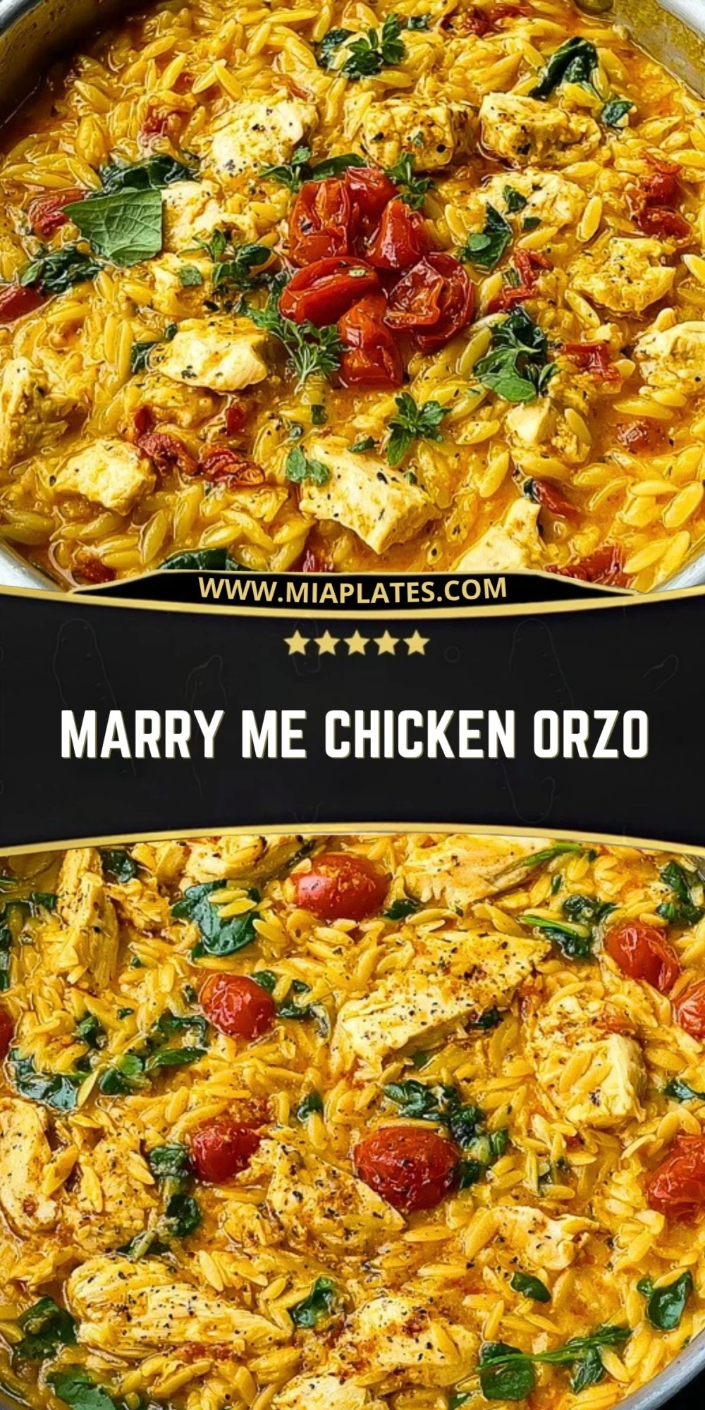 Marry Me Chicken Orzo (2)