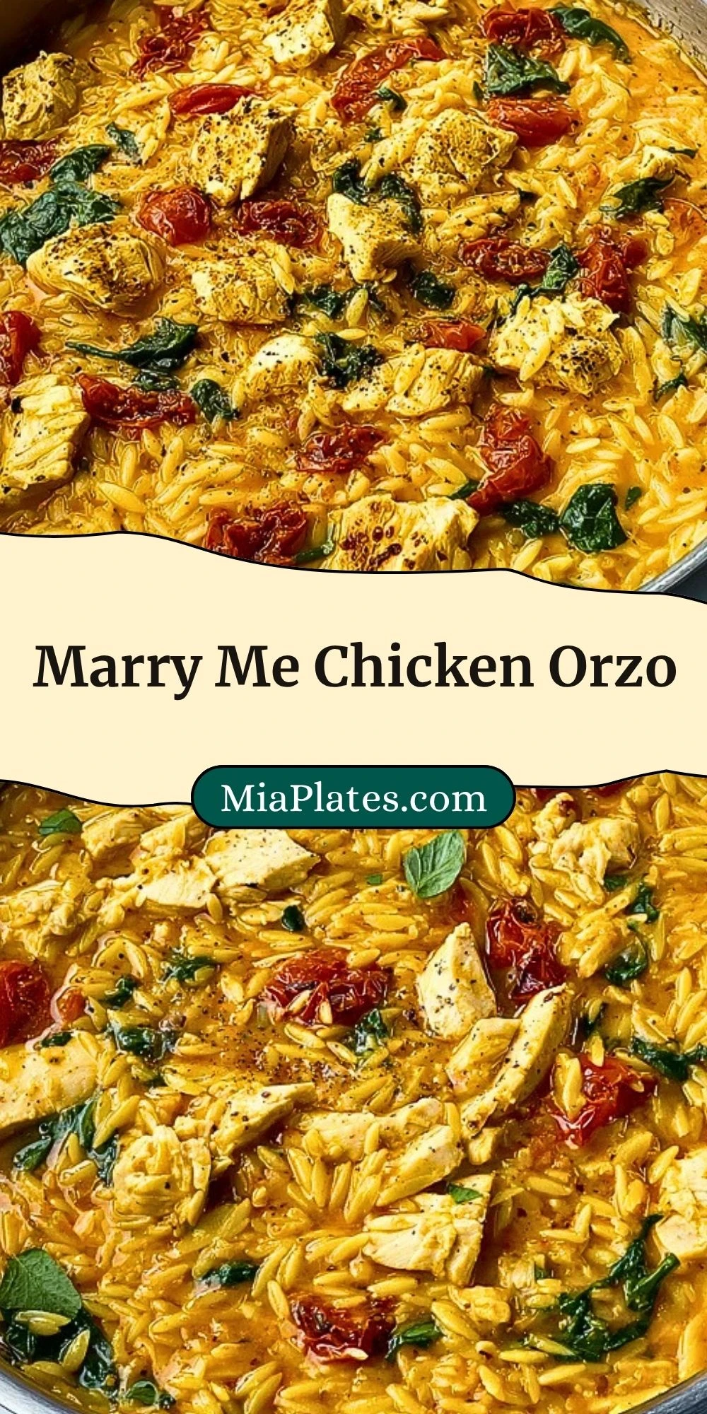 Marry Me Chicken Orzo (3)