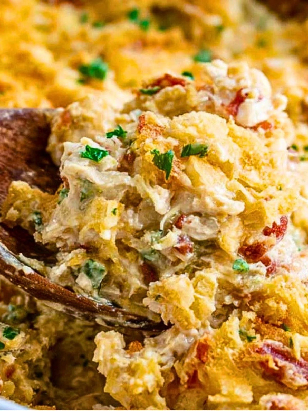 Neiman Marcus Chicken Casserole (1)