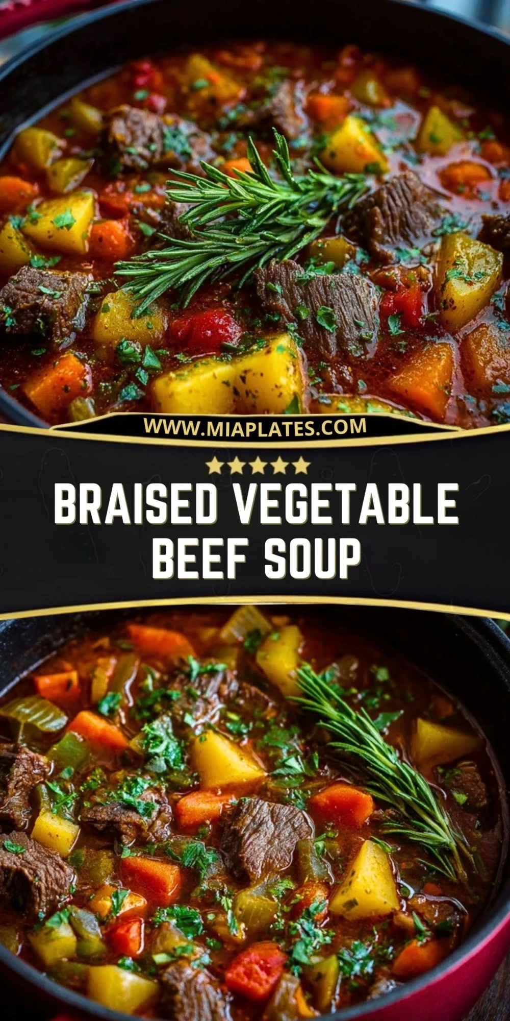 Braised Vegetable Beef Soup (2)
