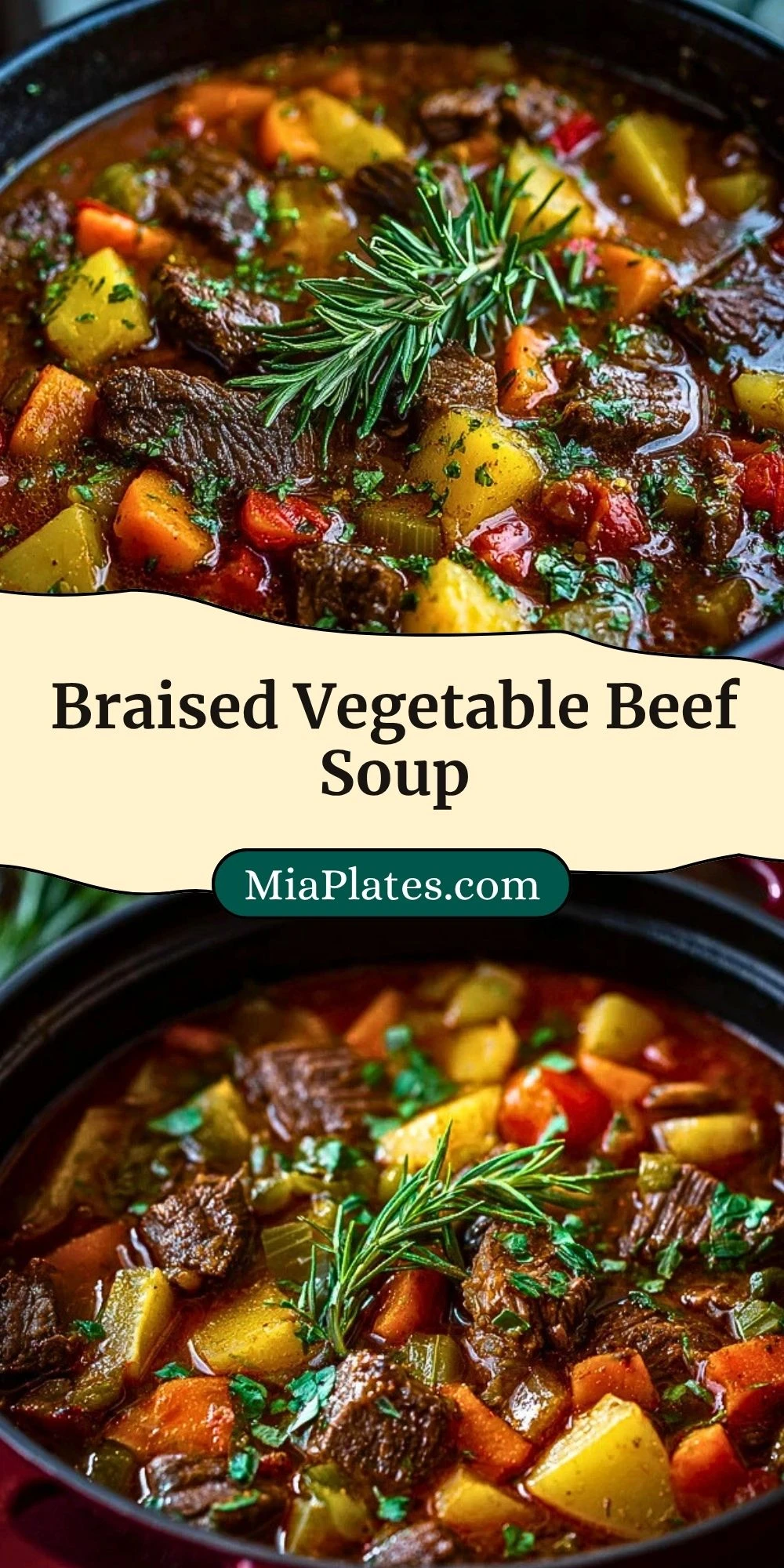 Braised Vegetable Beef Soup (3)