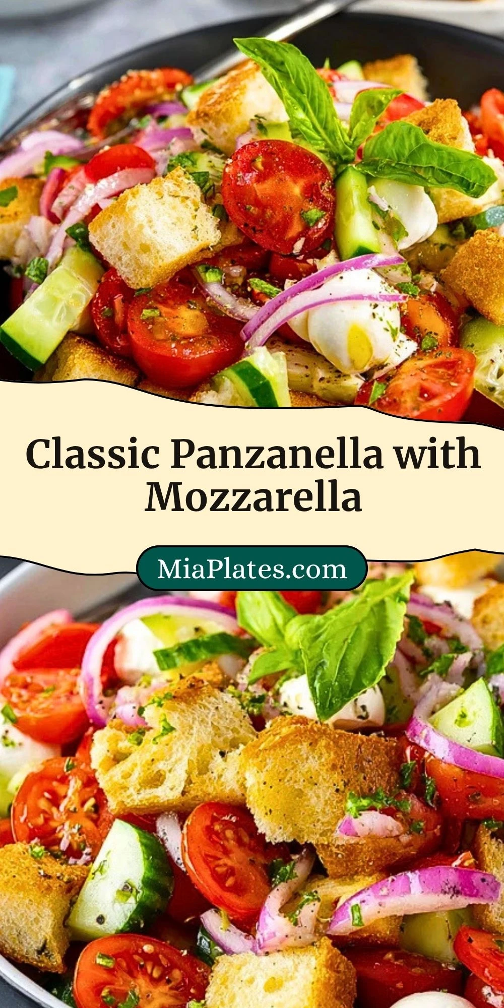 Classic Panzanella with Mozzarella (3)