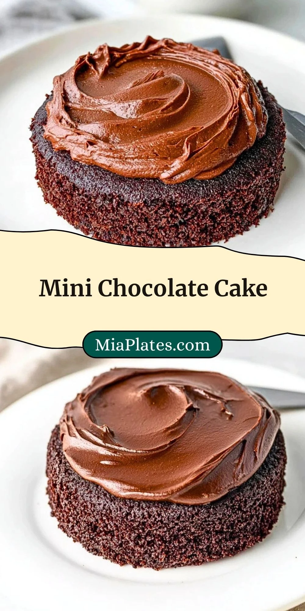 Mini Chocolate Cake (3)