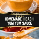 Homemade Hibachi Yum Yum Sauce (3)