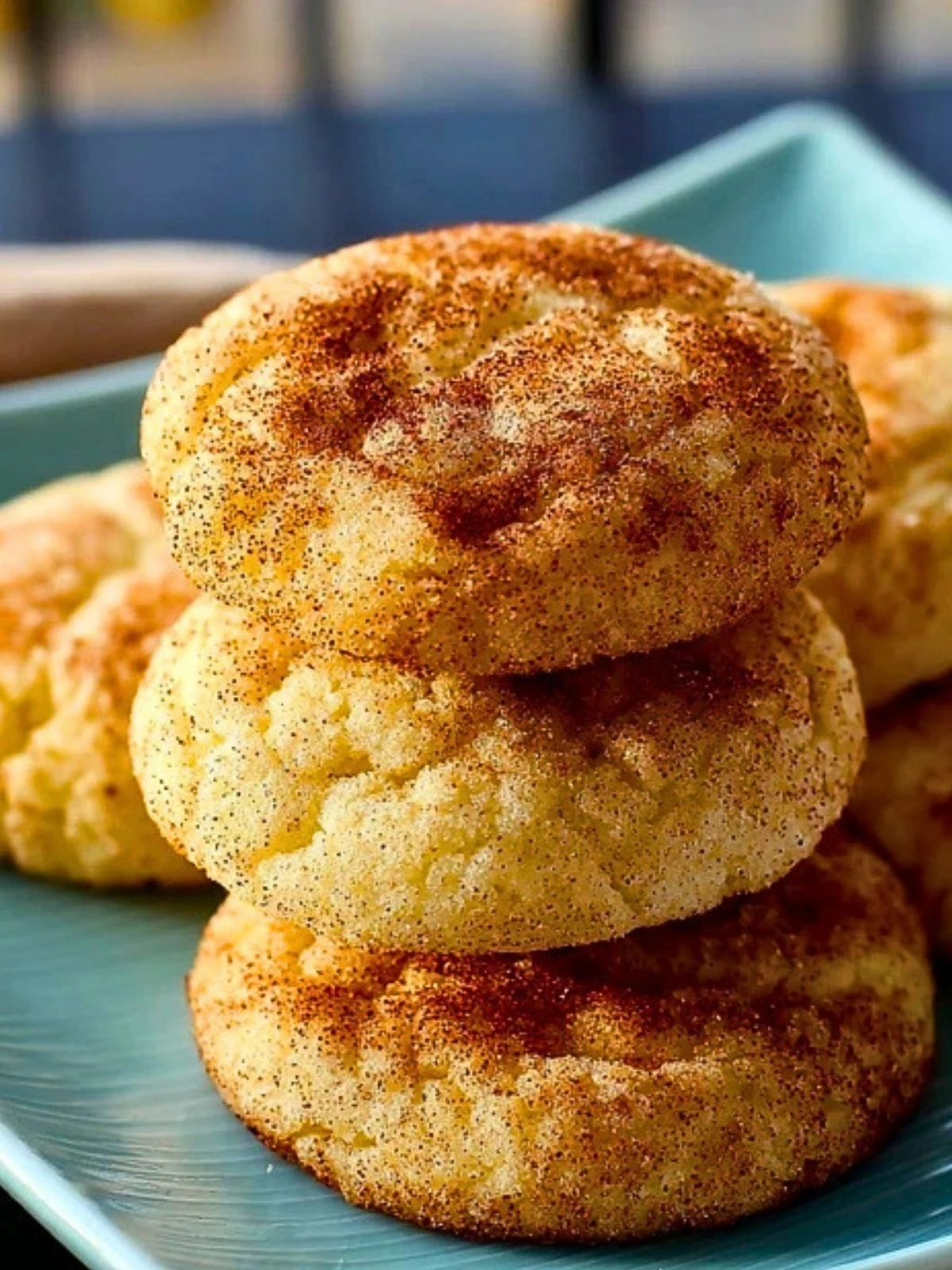 Chewy Snickerdoodles (1)