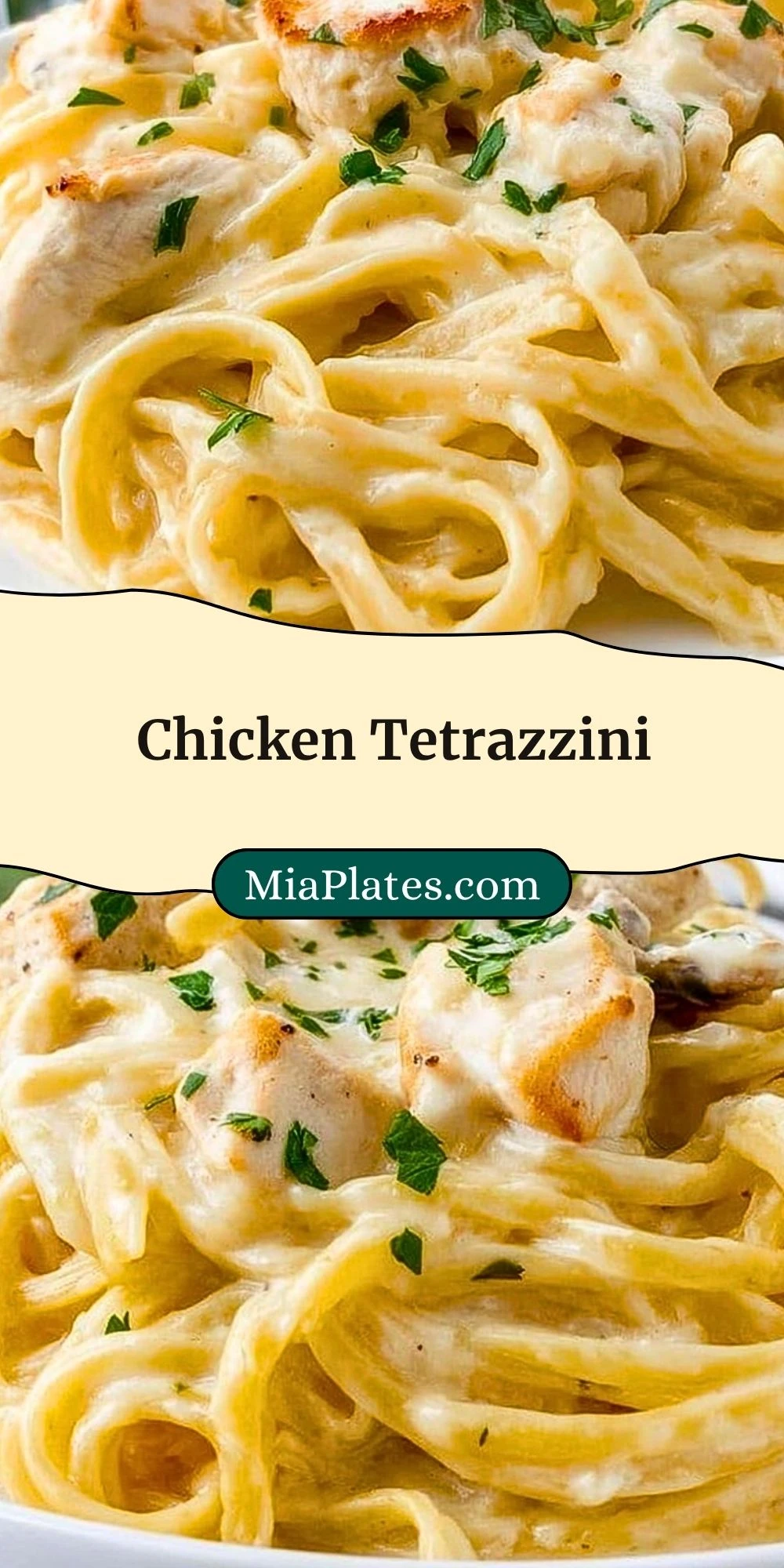 Chicken Tetrazzini (3)