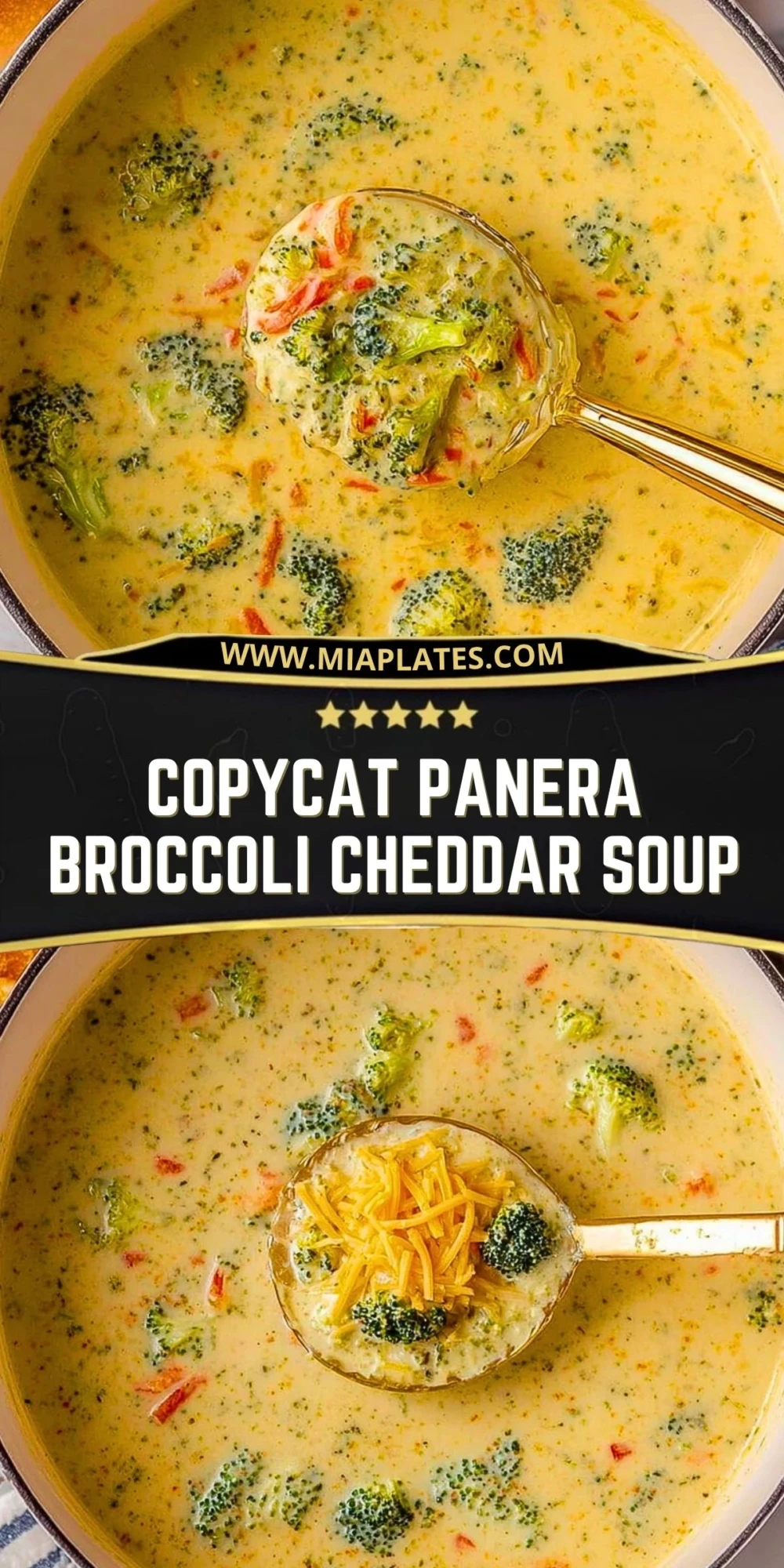 Copycat Panera Broccoli Cheddar Soup (2)