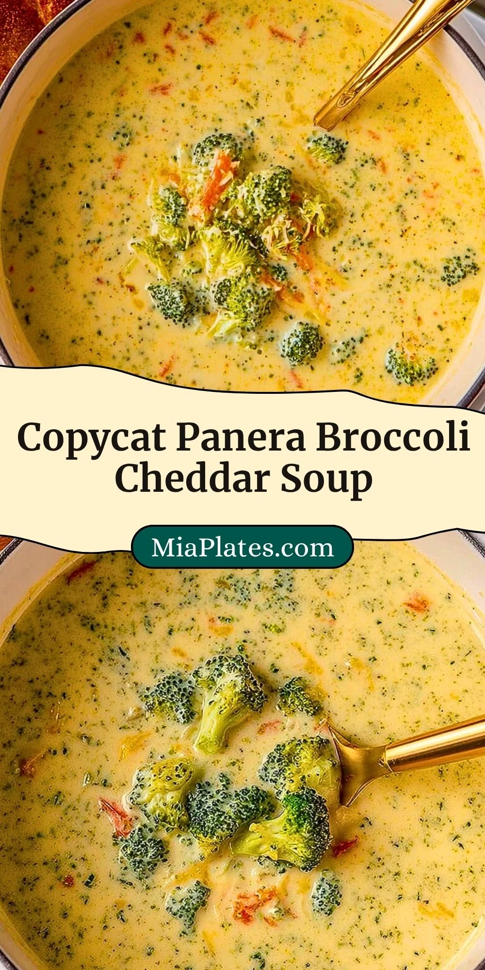 Copycat Panera Broccoli Cheddar Soup (3)