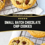 Small Batch Chocolate Chip Cookies (2)