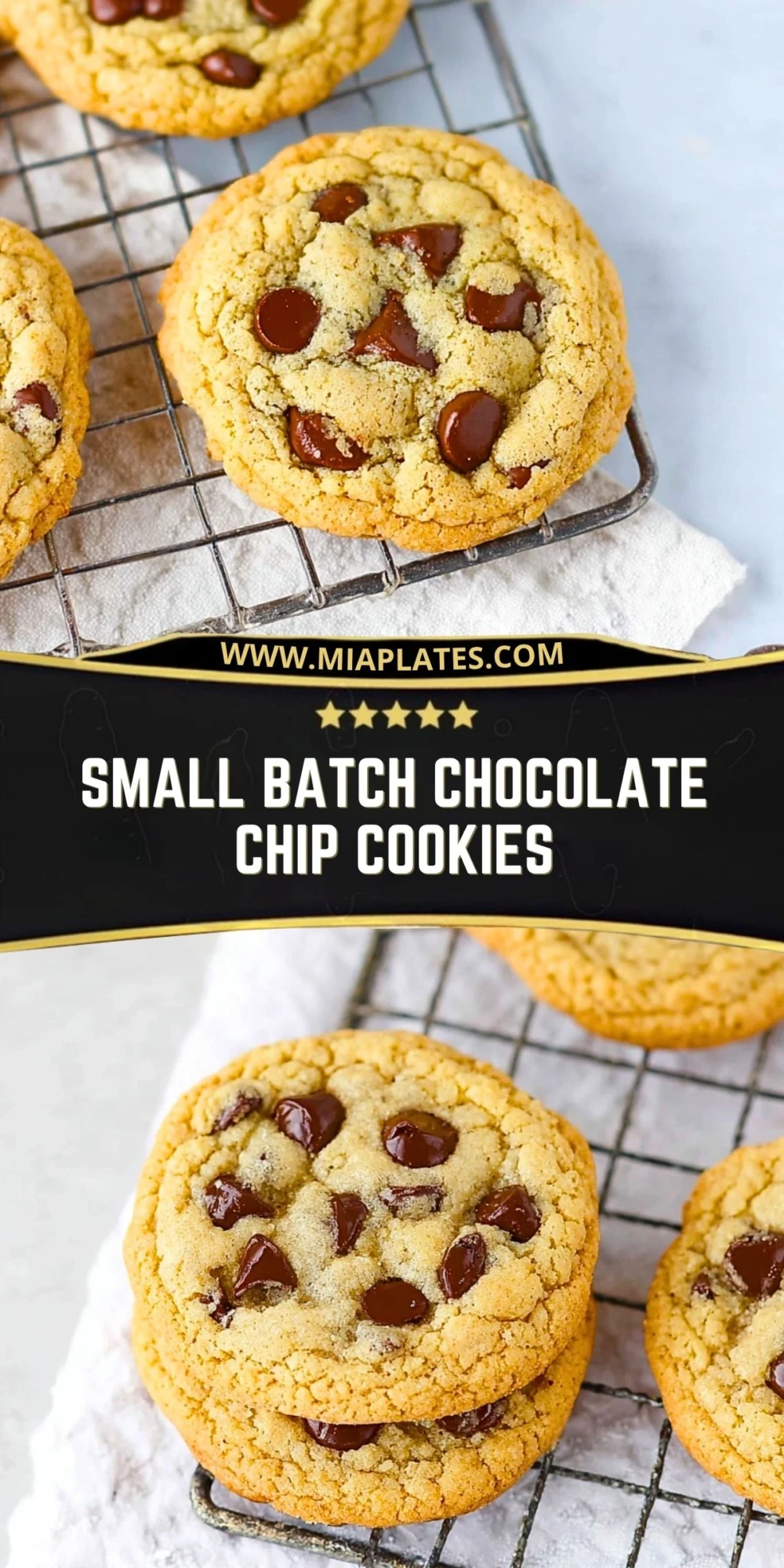 Small Batch Chocolate Chip Cookies (2)