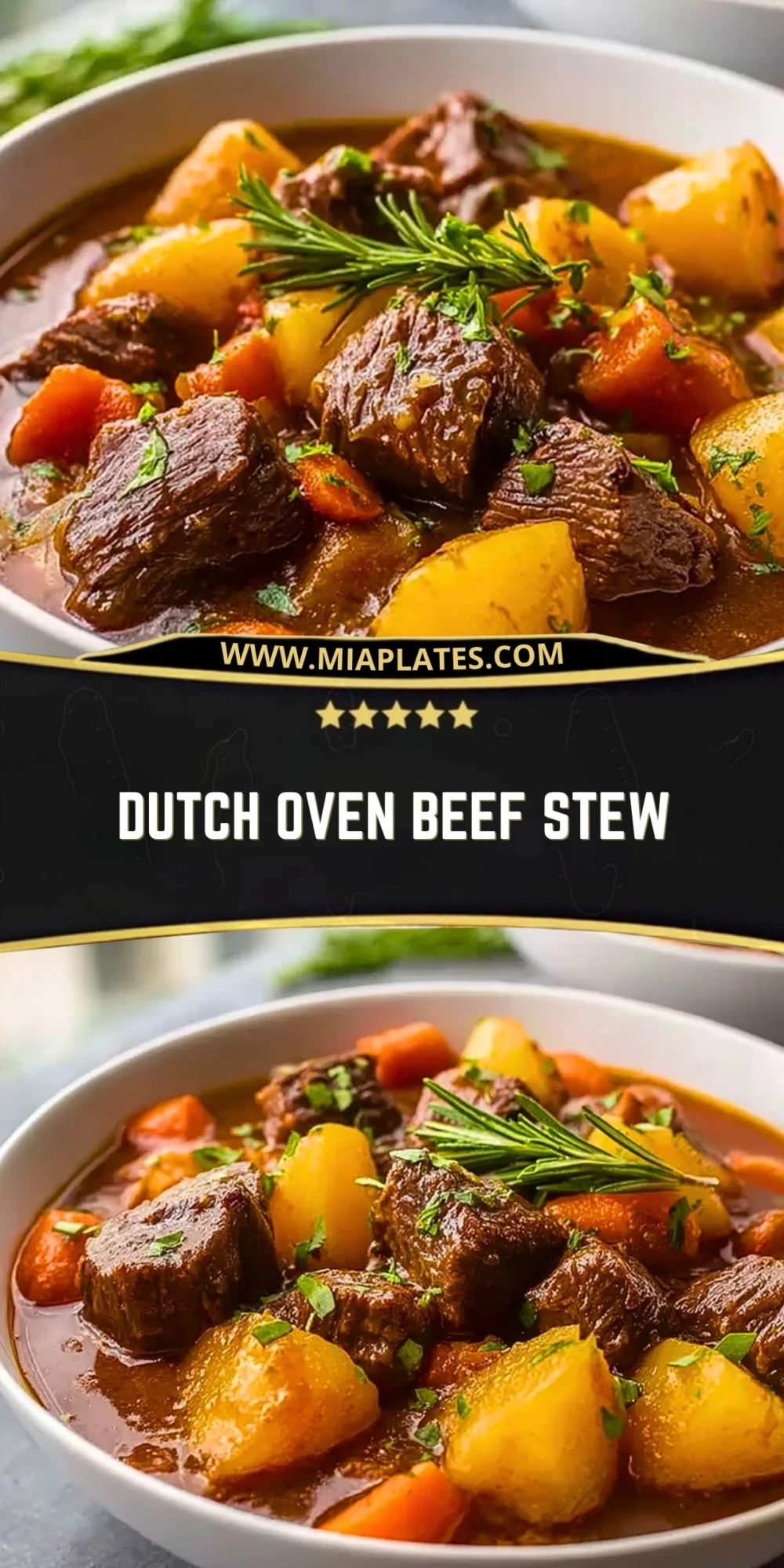 Dutch Oven Beef Stew (2)