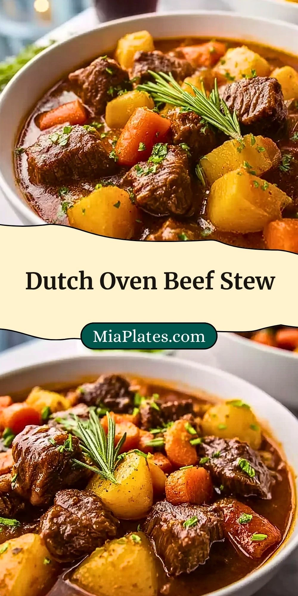 Dutch Oven Beef Stew (3)