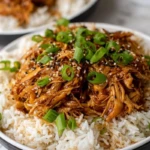 Honey Garlic Chicken and Rice