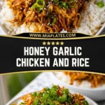 Honey Garlic Chicken and Rice (2)