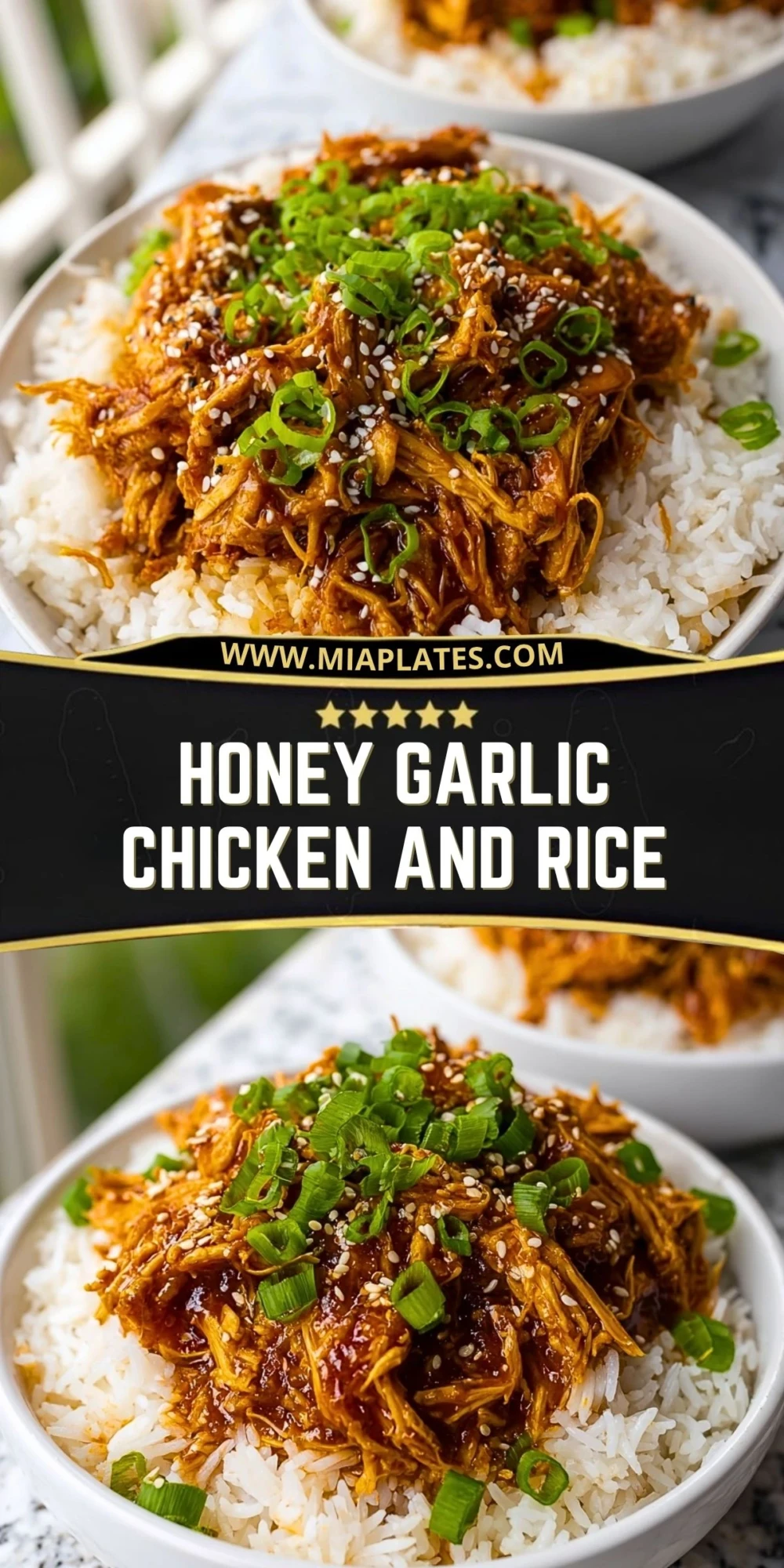 Honey Garlic Chicken and Rice (2)