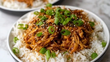 Honey Garlic Chicken and Rice