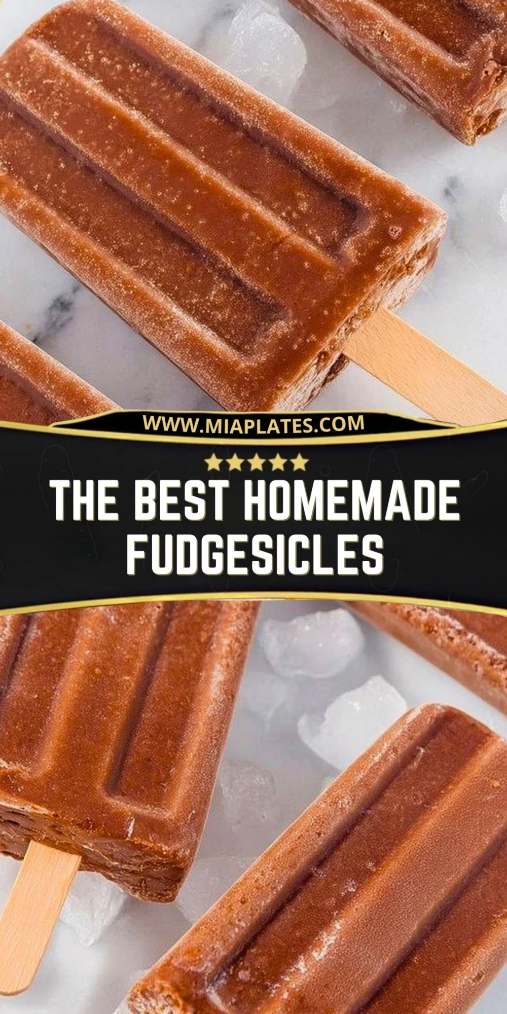 The Best Homemade Fudgesicles (2)