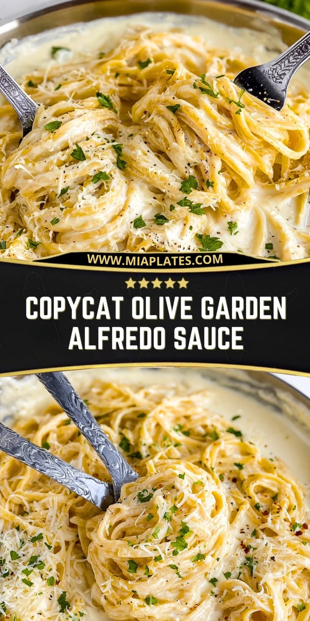 Copycat Olive Garden Alfredo Sauce (2)