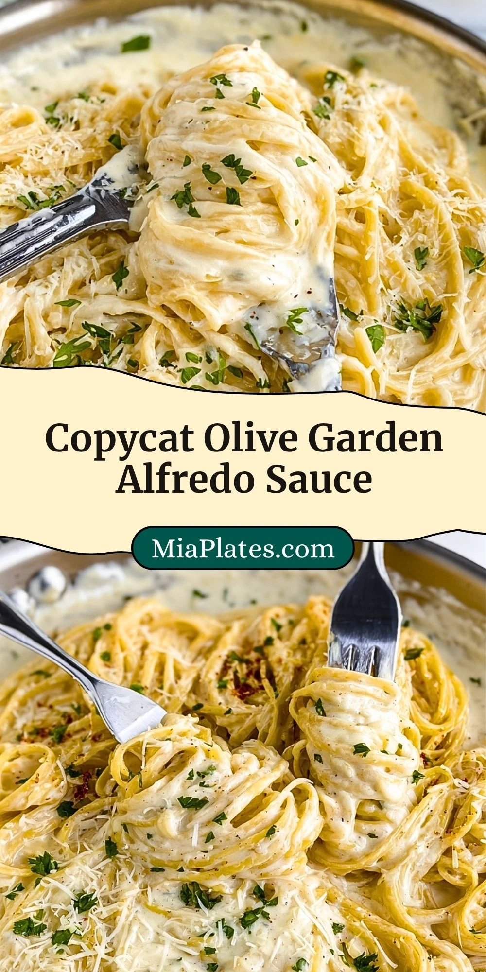 Copycat Olive Garden Alfredo Sauce (3)