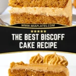 The Best Biscoff Cake Recipe (2)
