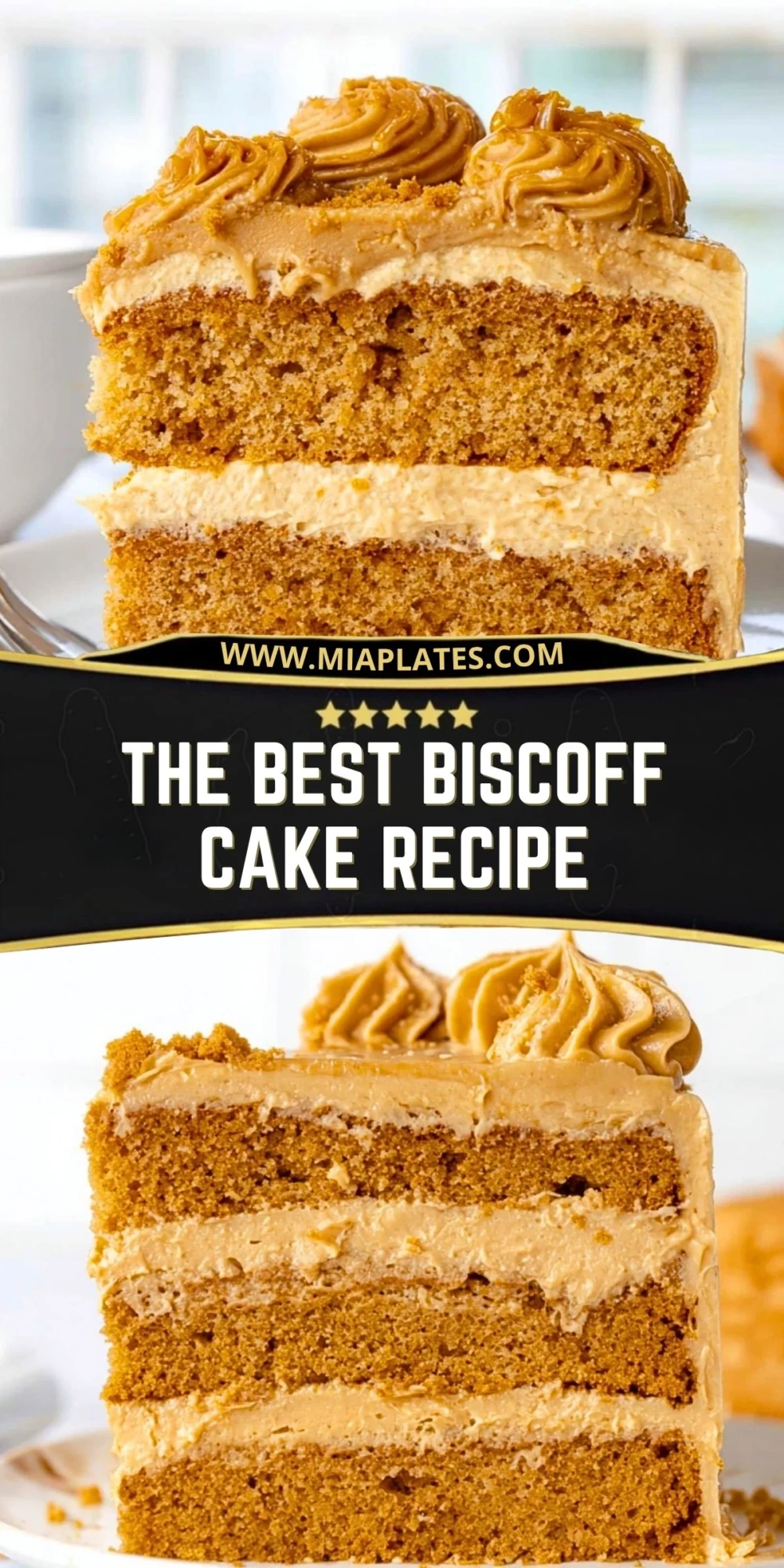 The Best Biscoff Cake Recipe (2)