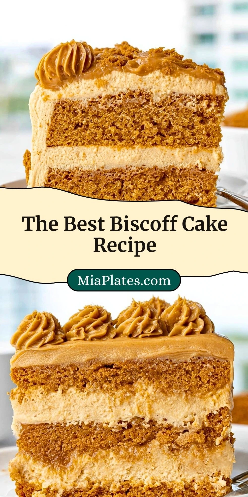 The Best Biscoff Cake Recipe (3)